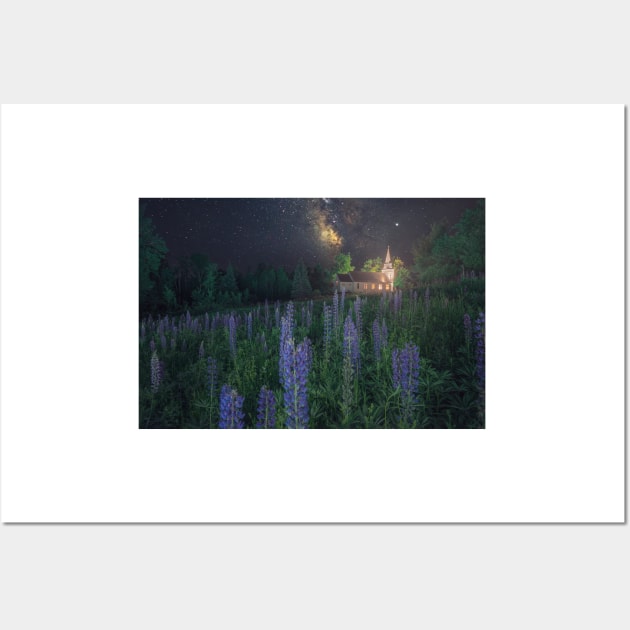 Sugar Hill Lupines Wall Art by jswolfphoto